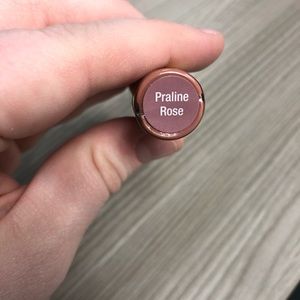 NWT Praline Rose Lipsense